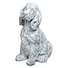 Small Cocker Spaniel Black