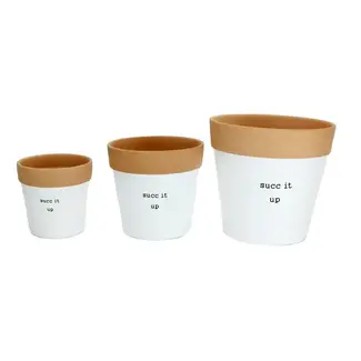 Succ It Up Pot