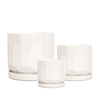 Cream Cruz Pot