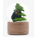 Tree Hugger Snow Globe