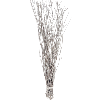 27" White Willow Branches