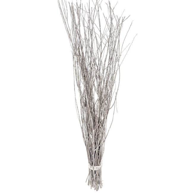 27" White Willow Branches