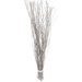 27" White Willow Branches