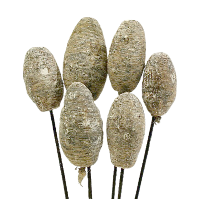 4" White Wash Cedar Cones
