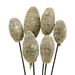 4" White Wash Cedar Cones