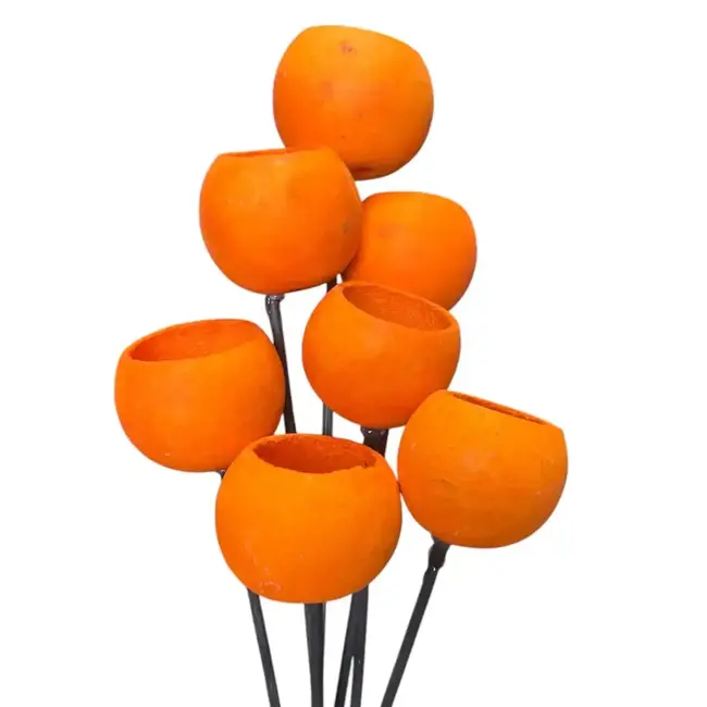 3" Orange Bell Cups