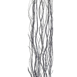 4' Grey Curly Willow