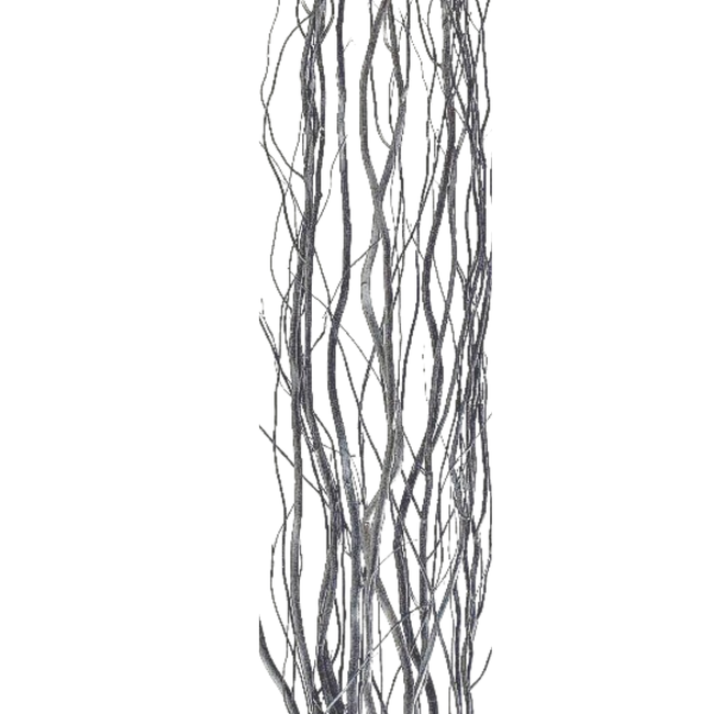 4' Grey Curly Willow
