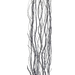 4' Grey Curly Willow