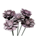 3" Cherry Wash Maritima Flower Pic