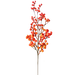 Orange Berry Branch Pic