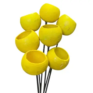 3" Yellow Bell Cups