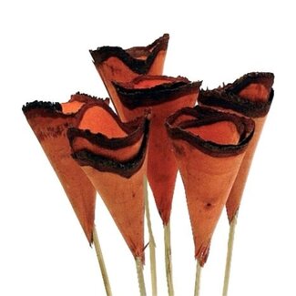 5" Orange Wood Cones