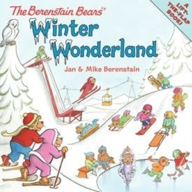 Berenstain Bears' Winter Wonderland