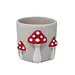 Pot w/ Mushrooms