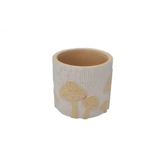 Terracotta Pot w/ Mushrooms
