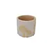 Terracotta Pot w/ Mushrooms