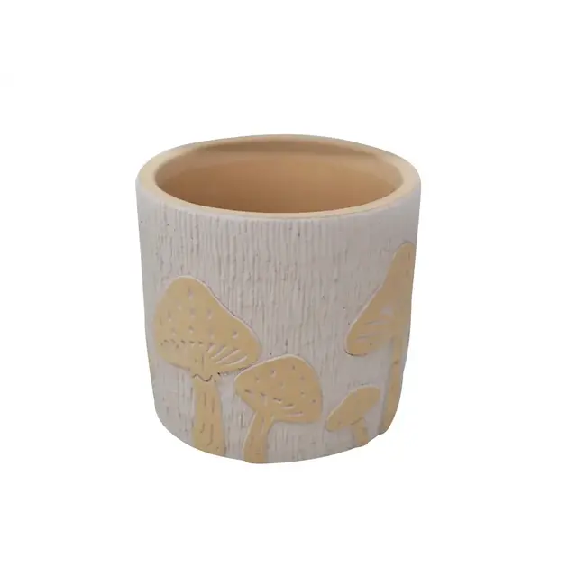 Terracotta Pot w/ Mushrooms
