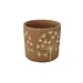 Brown Apiale Pot