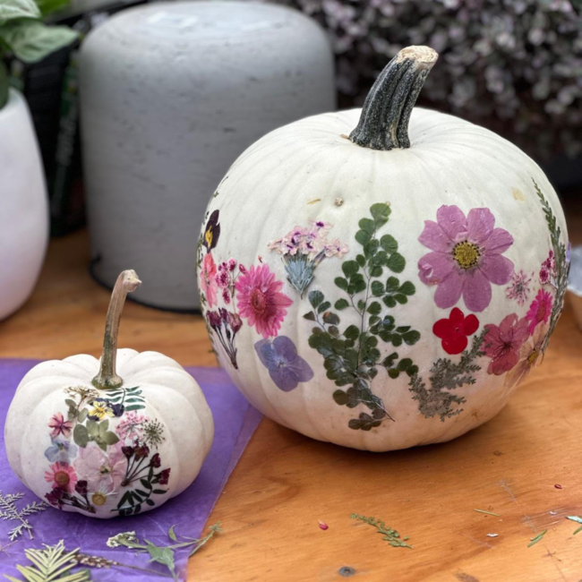 Wildflower Pumpkin Workshop