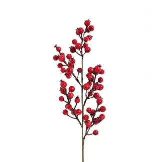Red Berry Pick Medium
