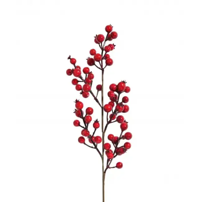 Red Berry Pick Medium