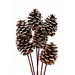 White Tipped Large 6 Stem Pinecones