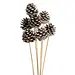 White Tipped 5 Stem Pinecones