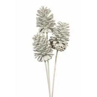 White Large 3 Stem Pinecones