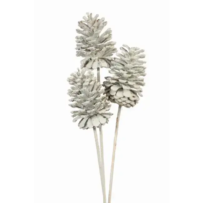 White Large 3 Stem Pinecones