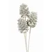 White Large 3 Stem Pinecones