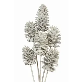 White Large 6 Stem Pinecones