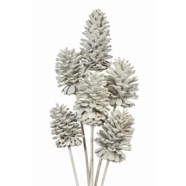 White Large 6 Stem Pinecones