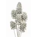 White Large 6 Stem Pinecones