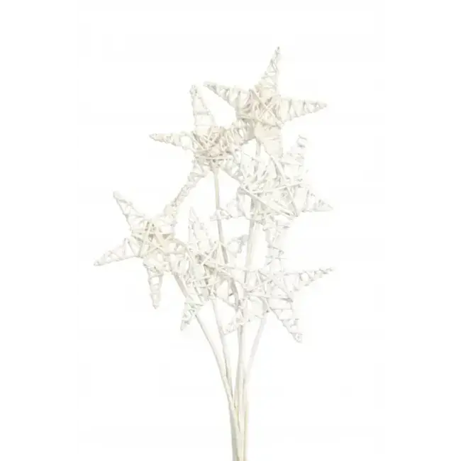 White Glittered 6 Stem Lata Stars