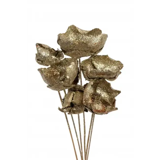 Champagne Glitter 6 Stem Palm Caps