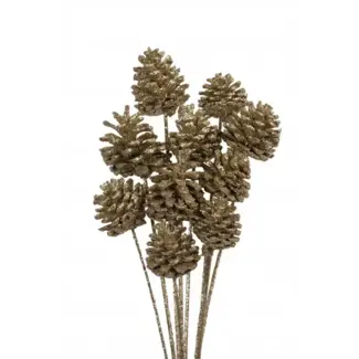 Champagne Glitter 10 Stem Pinecones