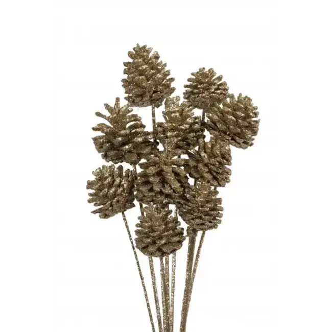 Champagne Glitter 10 Stem Pinecones