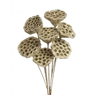 Champagne Glitter 7 Stem Lotus Pods