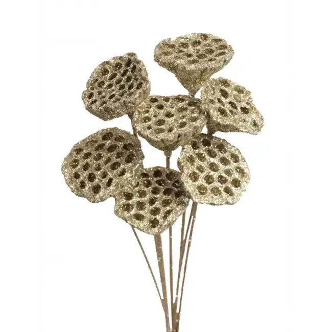 Champagne Glitter 7 Stem Lotus Pods