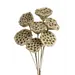Champagne Glitter 7 Stem Lotus Pods