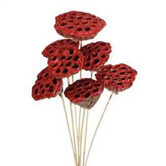 Red Glitter 7 Stem Lotus Pods