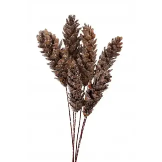 Snow 6 Stem Strobus Pinecones