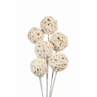 Snow 6 Stem Kamboi Balls