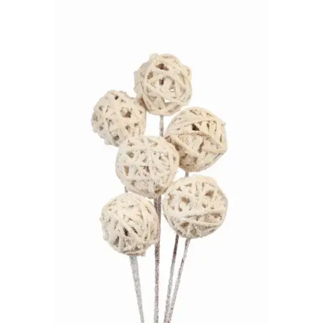 Snow 6 Stem Kamboi Balls