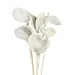 White Wash 6 Stem Badam