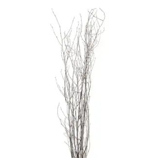 White Wash 5 Stem Birch Branches