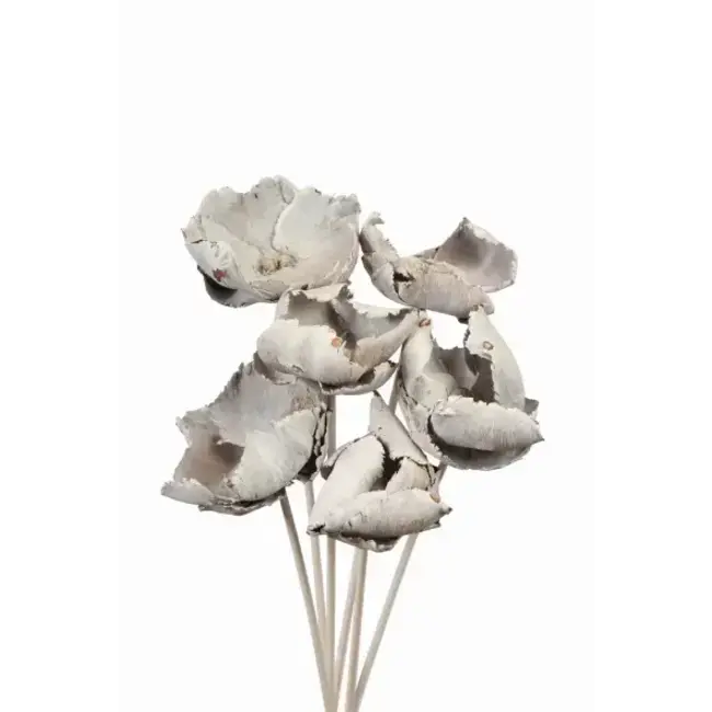 White Wash 6 Stem Palm Caps
