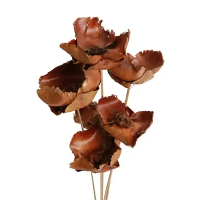 Natural 6 Stem Palm Caps
