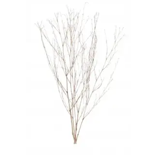 Natural 5 Stem Bamboo Branches